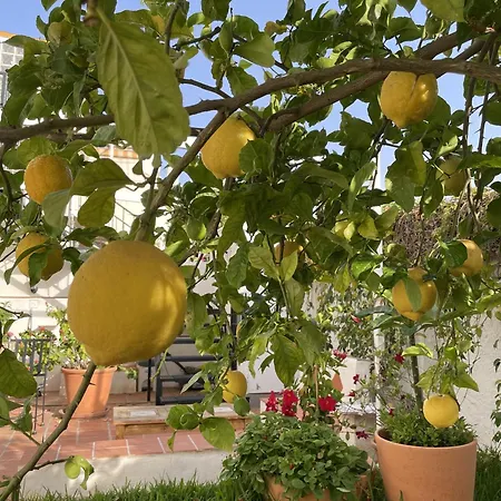 Casa Limones נרחה